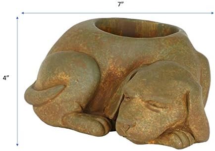 Classic Home and Garden Cement Buddies Animal Planter - Cute Desk Decoration - UV Coated Animal Vase w/Drain Plug - Succulent Plant Pot for Indoor/Outdoor Use (Dog Planter, Rust, Small)