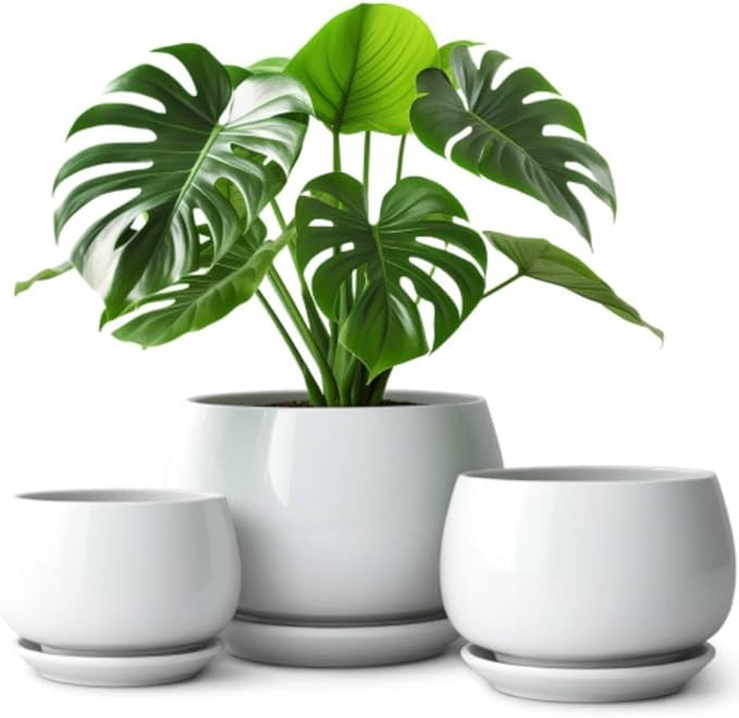 vancasso 3-Pack Ceramic Plant Pots, 7.3/9.6/11.6 Inch Indoor Planters with Saucers & Drainage Hole Planter pots for Indoor Plants and Flower, Gray