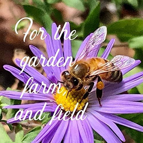 Midwestern Wildflower Seeds Bulk β 5 lb, 3 Million+ Seeds β Native Prairie Wildflower Mix for Midwest USA β Annual & Perennial Pollinator Flower Seed for Garden, Meadow & Landscaping