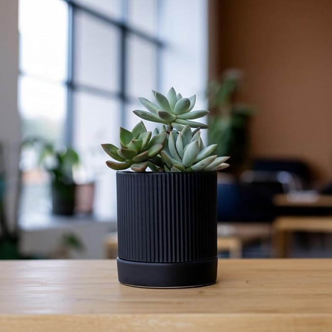 Small Plant Pots, 4 Inch Pots for Indoor Plants, Modern Minimalist Ceramic Plant Pots with Drainage Hole & Saucer, Matte Black Set of 2
