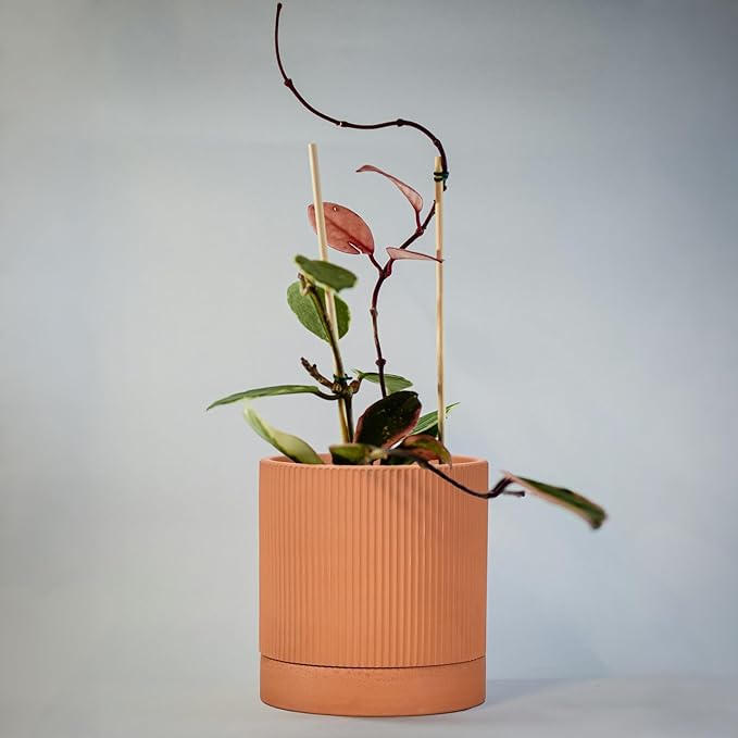Modern Terracotta Pots, 6 Inch Ribbed Textured Clay Planter Pots with Drainage Hole & Saucer, Garden Pots for Indoor/Ourdoor Plants, Succulent Cactus & Herb
