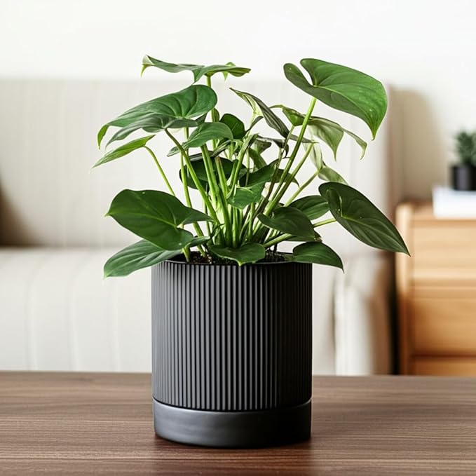 6 Inch Ceramic Plant Pot with Drainage & Saucer - Indoor Planter for Succulents, Cacti & Aloe Vera - Striped Design, High-Temp Fired Clay, Lightweight Modern Decor