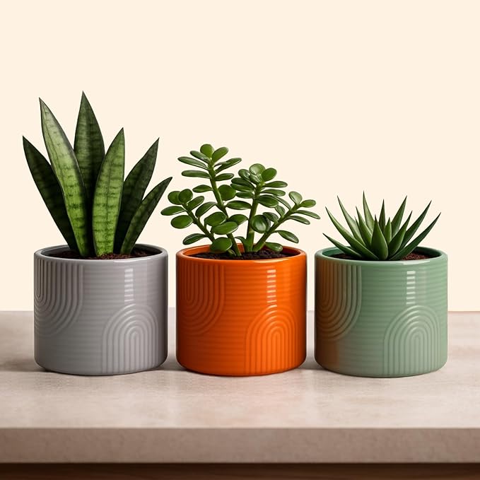 Elegant 6 Inch Ceramic Flower Pot – Indoor & Outdoor Planter for Succulents, Herbs, Small Plants – Includes Dibber & Widger – Thick-Walled Modern Design – Terracotta – 6" x 5.2"