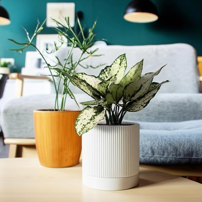 6 Inch Ceramic Plant Pot with Drainage & Saucer - Indoor Planter for Succulents, Cacti & Aloe Vera - Striped Design, High-Temp Fired Clay, Lightweight Modern Decor White