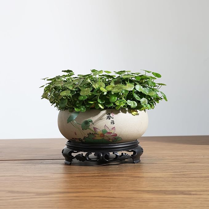 TOIVO Lotus Bowl Planter, Coarse Pottery Water Lily Flower Pot with Plastic Base, 7.8 inches (B-3)