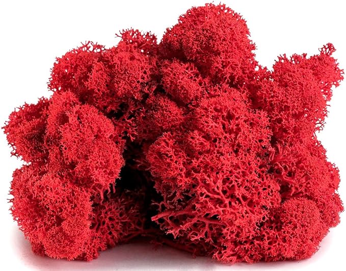 SuperMoss (23149) Reindeer Moss Preserved, Red, 8oz