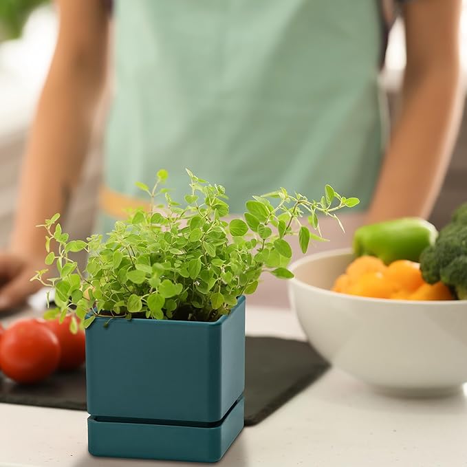 D'vine Dev 4 Inch Herb Planter Pot, Plastic Planter with Drainage Holes and Saucer, Modern Decorative Gardening Pot for Indoor Plants, Flowers, Herbs, Succulents, Green, Set of 1, 76-Y-C-1