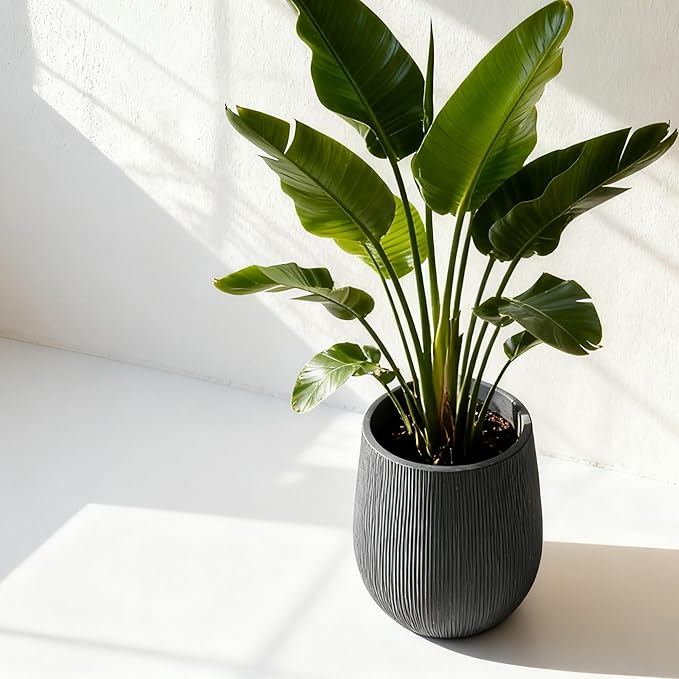 Worth Garden Dark Gray Round Planter, 9" Dia x 13" H Lightweight Magnesium Oxide Cement Plant Pot with a Striped Textured Finish, Raised Pattern Concrete Look, Drainage Hole, Indoor & Outdoor Use
