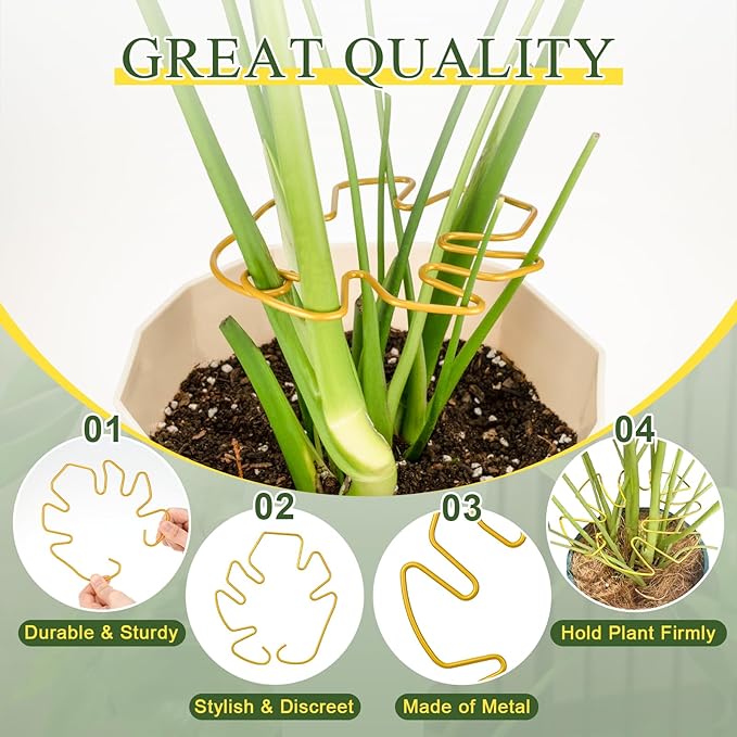 Monstera Plant Support 3 Pack, Plant Supports for Indoor Plants, Metal Plant Stem Holder Large Plant Support Ring Unique Design for Climbing Plants Stem Stabilizer Growth Accessories (Gold)