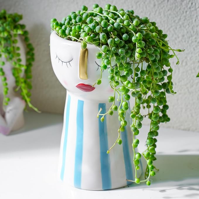 Live Succulent Plants String of Pearls, Rare Succulents Fully Rooted in 4" Pots with Soil, Easy-Care House Plant, Standard Packaging