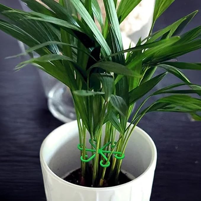 12Pcs Plant Stem Supports, Reusable Plastic Plant Accessories Indoor, Monstera Plant Support for Climbing Houseplants, Stakes Trellis Stem Hook Growth Tools for Neat Garden Arrangement(Green)