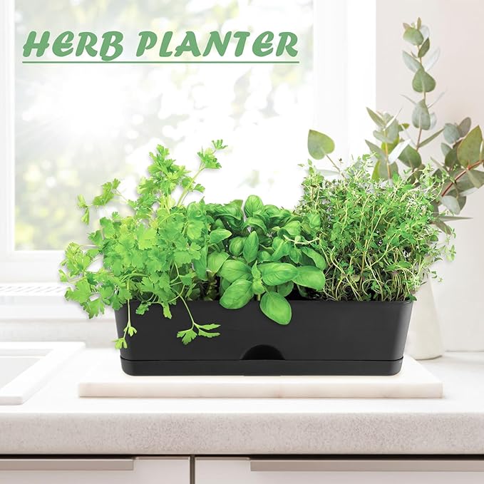 6-Pack Large Window Boxes Planters 16 Inch Rectangle Plant Box Rectangular Planters for Outdoor and Indoor Plants Plastic Windowsill Planter for Herbs Vegetable Flowers Long Window Sill Planters