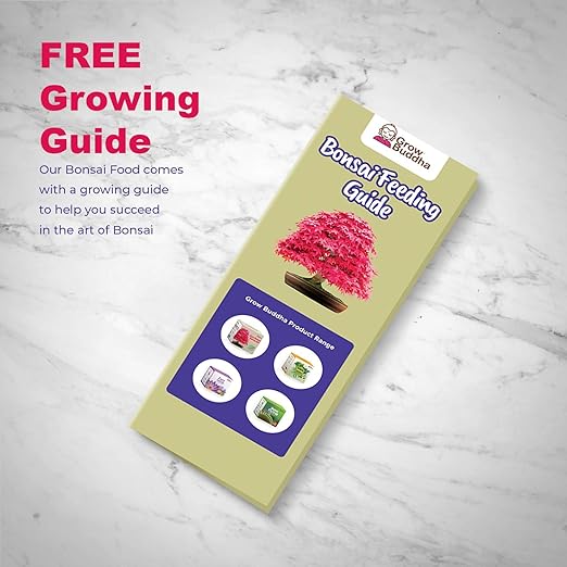 Bonsai Food Fertiliser β Liquid Concentrated Fertiliser for Bonsai Trees 100 ml β Fast Growth with Strong Root β Suitable for All Bonsai Trees and Plants