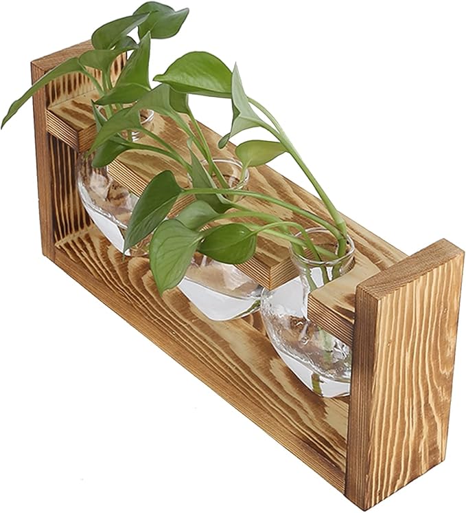Plant Terrarium with Wooden Stand,Heart Shaped Transparent Glass Vase Flower Pot Hydroponics Plant Propagation Station for Hydroponics Plants Home Office Decor (Retro Box + 3