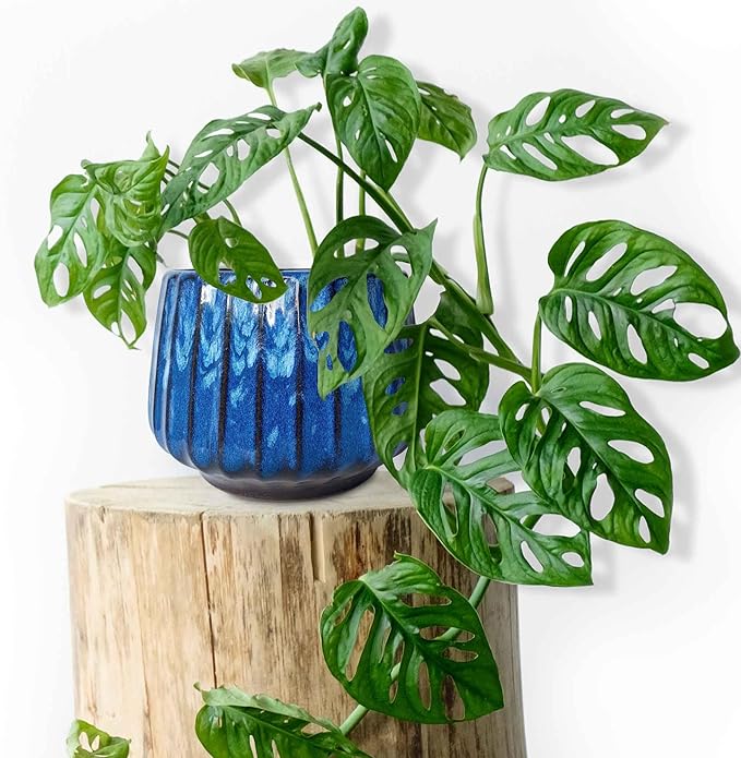 5.5 inch Plant Pot Ceramic,Reactive Glaze Pot with Drainage Hole for Indoor/Outdoor Plants,Breathable Small Cactus Pot Glazed Blue