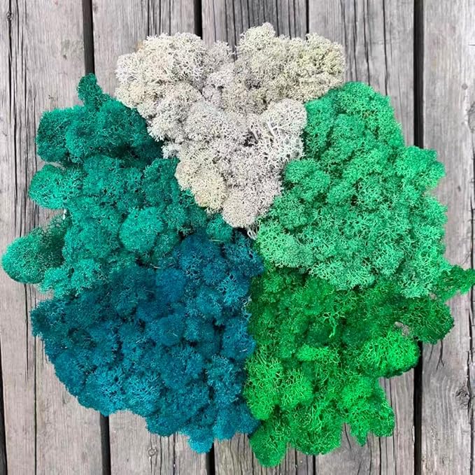 Preserved Reindeer Moss Natural Green DIY Kit Gardenning Art Wall Decor Florist Decor Easter Table Decor Wedding