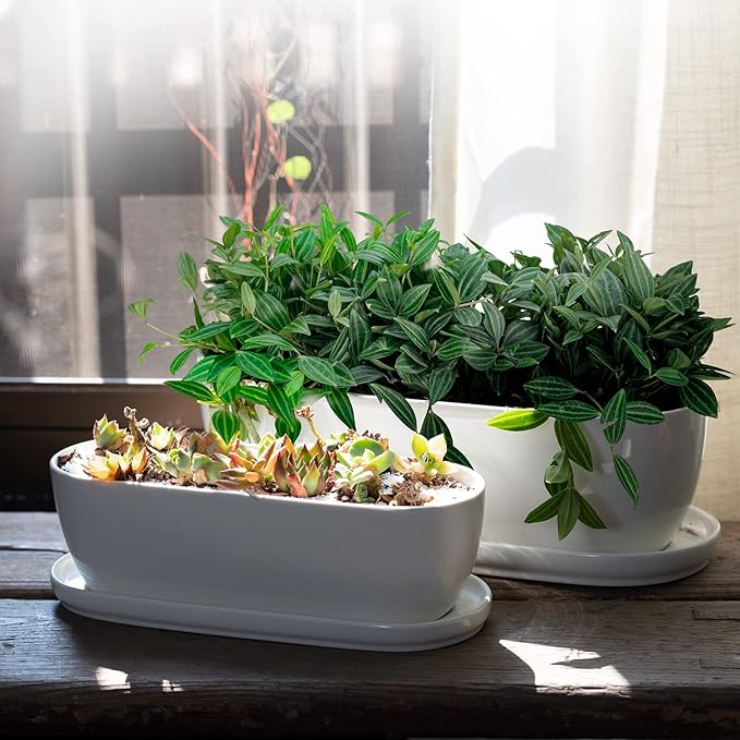 E-liu Ceramic Plant Pots, 11+14 inch, Set of 2, Planters with Drainage Holes Saucers and Mesh Pads, Indoor Flower Succulent Pot with Hole Mesh Pad, Gifts for Mom, Plants Not Included, Black