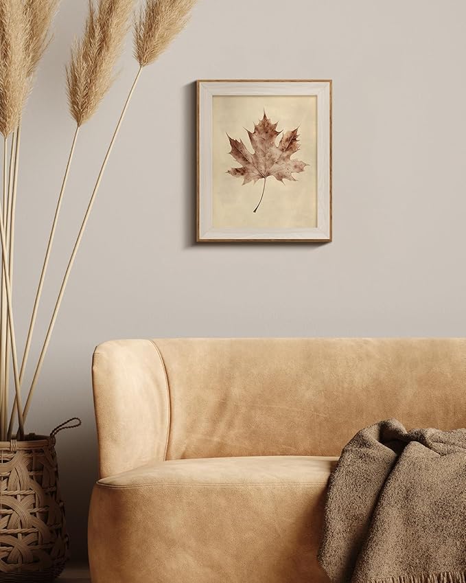 InSimSea Framed Wall Art Maple Leaf Specimen Print Shelf Decor Classic Vintage Plant Illustration Wall Picture Canvas Artwork for Nursery Bathroom Bedroom Kids Room Decor 12L x 10W
