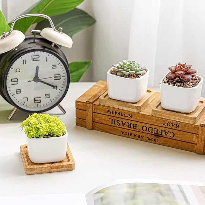 T4U 2 Inch Mini White Square Succulent Pots with Bamboo Trays, Mini Ceramic Planters for Tiny Cactus, Air Plants, Faux Plants – Gift for Plant Lovers, Desk & Home Decor (12 Pack)