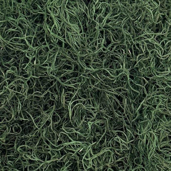 Preserved Spanish Moss - Decorative Dried Moss for Crafts, Home Decor, Art, Design & DIY Projects - for Indoor Use - Forest Green - Standard Box - Covers 10-12 sq. ft.