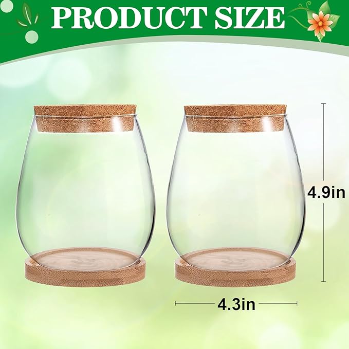 Biggun Plants Propagation Station - 2Pcs Desktop Plant Terrarium Glass Hydroponic Vases, Water Plant Jars, Gardening Gifts for Women Mom Plant Lovers (Water Drop Shape, Separated Tray Style)