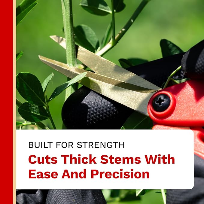 The Harvest Company Low Profile Straight Titanium Pruner, 6.5 Inch Garden Shears, Titanium Blade, Precision Gardening Scissors with Soft Gel Handle