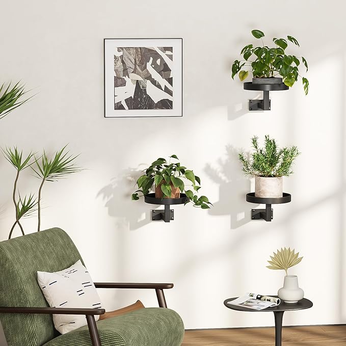 Gezen 3 Pack Wall Plant Holder, Plant Frames Wall Decor, Float Metal Rack for Indoor Plants, Round Display Shelves Hanging Planter for Outdoor