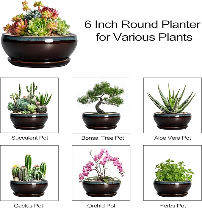 SQOWL Succulent Pots with Drainage Hole - 6 Inch Ceramic Bonsai Tree Pots, Shallow Planter with Saucer, Round Plant Pot for Succulent Indoor Outdoor, Porch Decor, Gifts for Plant Lover, Blue-Brown