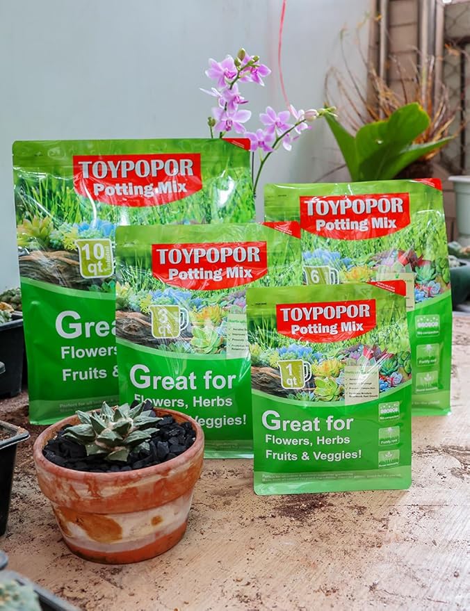 TOYPOPOR Horticultural Charcoal for Indoor Plants (10 Quarts) Hardwood Potting Soil Amendment Helps Improve Drainage for Orchids, Succulent, Cactus, Terrariums, and Gardening