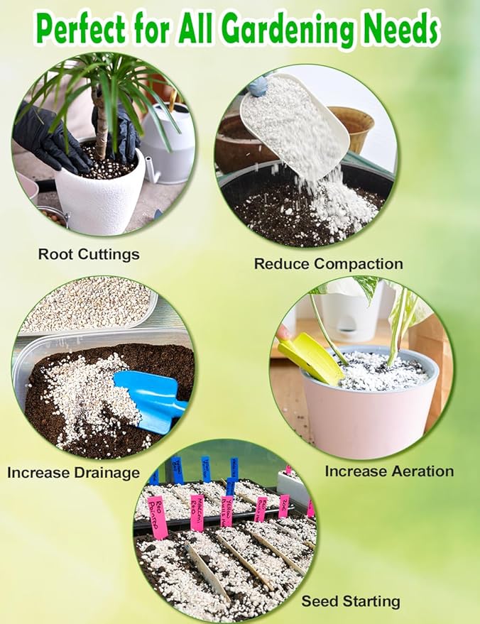TOYPOPOR Perlite for Plants, (3qt) 3-6mm Organic Perlite for Gardening, Perlite for Plants Indoor, Soil Additive Conditioner Mix Improve Drainage and Ventilation Promote Root Growth and Soil Health