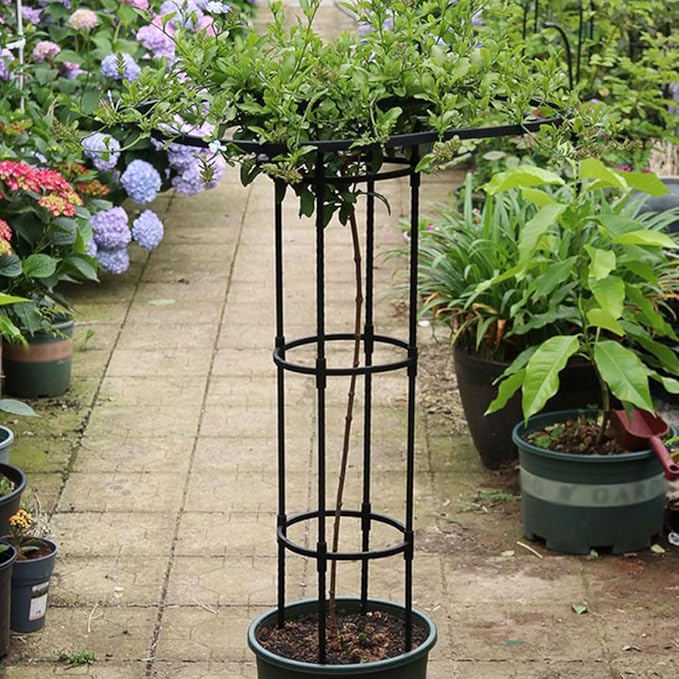 Garden Trellis for Climbing Plants and Flowers,Rustproof Metal Vertical Umbrella Trellis,Garden Obelisk Climbing Plant Trellis(Size:180cm,Color:Black)