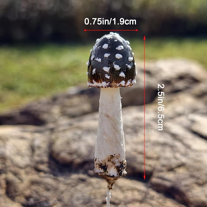 5-Pack Handmade Clay Mushrooms Miniature Fairy Garden Decor - DIY Mini Mushrooms for Terrariums Potted Plant Holiday Ornaments & Desktop Decorations
