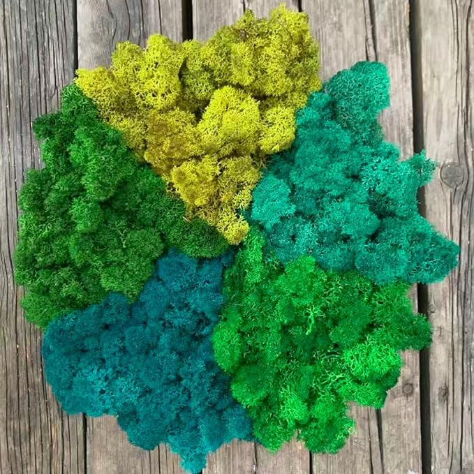 Preserved Reindeer Moss Natural Green DIY Kit Gardenning Art Wall Decor Florist Decor Easter Table Decor Wedding