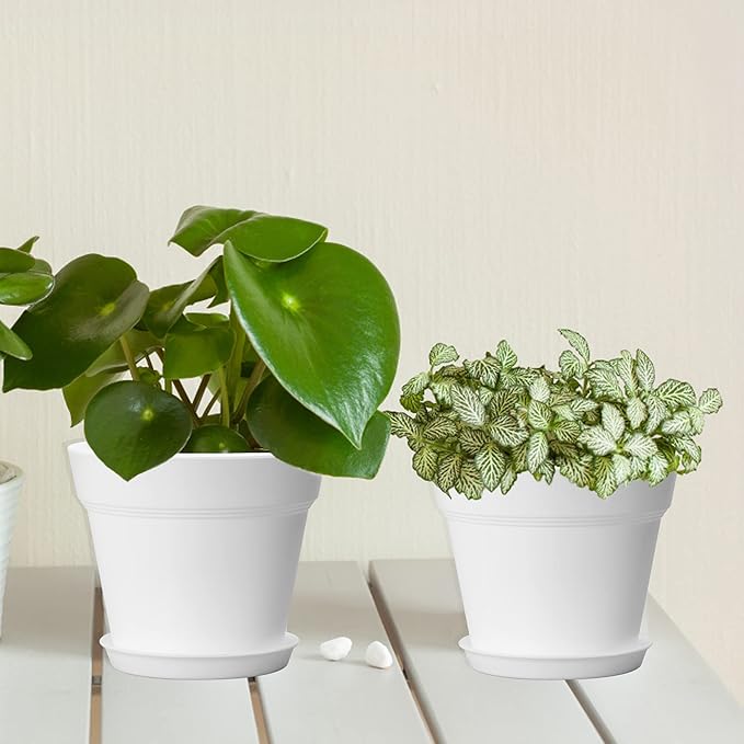 4 Inch Plastic Plant Pots 6 Pack, Small Flower Pots with Drainage Holes and Tray, Thickened Indoor Planters Seedlings Nursery Pots, African Violet, Succulent and All House Plants, White