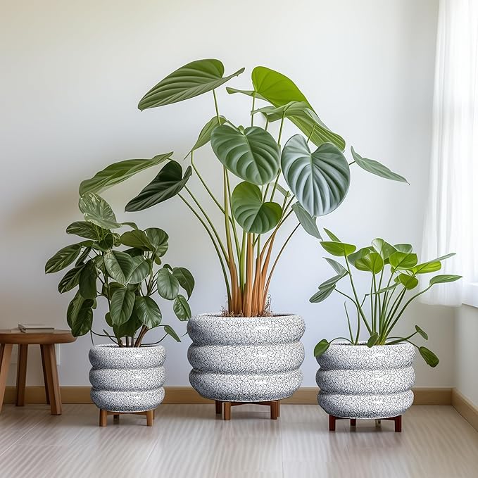 SQOWL Ceramic Plant Pots - 13.5 Inch Ceramic Planter with Drainage Hole, Large Round Planter for Indoor Plants, Modern Flower Pots Outdoor, Office Living Room Decor, Birthday Gifts, Black and White