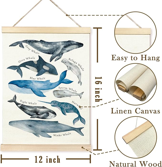 TAEDIN Whales Ocean Animal Chart Poster Hanger Frame, Whales Nautical Wall decor Educational Wooden Canvas Print, Sea Life Beach Wall Decor Painting for Classroom Nursery Bedroom Teen Room 12X16