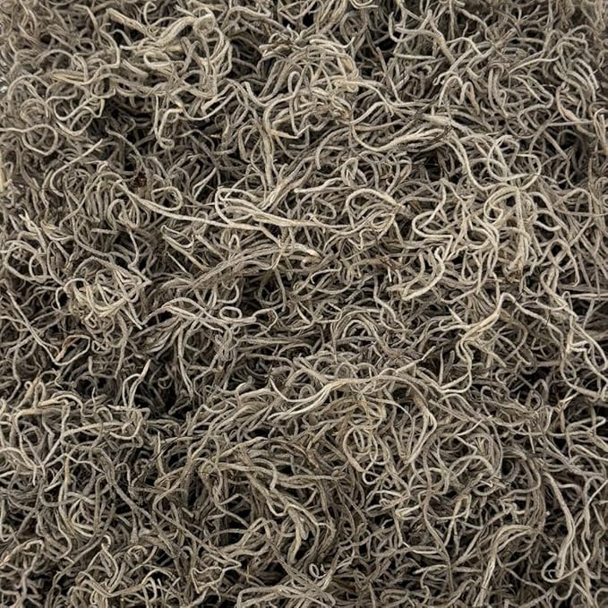 Preserved Spanish Moss - Decorative Moss - Dried Moss for Crafts, Home Decor, Art, Design & DIY Projects - for Indoor Use - Natural - Small Size