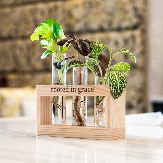 Rooted in Grace: Plant Propagation Stations: Plant Cutting Holder w/ 3 Glass Propagating Vases, Unique & Encouraging Christian Gifts for Women, Faith-Inspired Home Decor