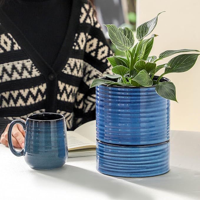HASENSE Self Watering Pots for Indoor Plant, 6 Inch Porcelain Planter with Drainage Hole & Water Storage Plus for Indoor & Outdoor Plants, Round Flower Pot for Home Office Kitchen Decor, Blue