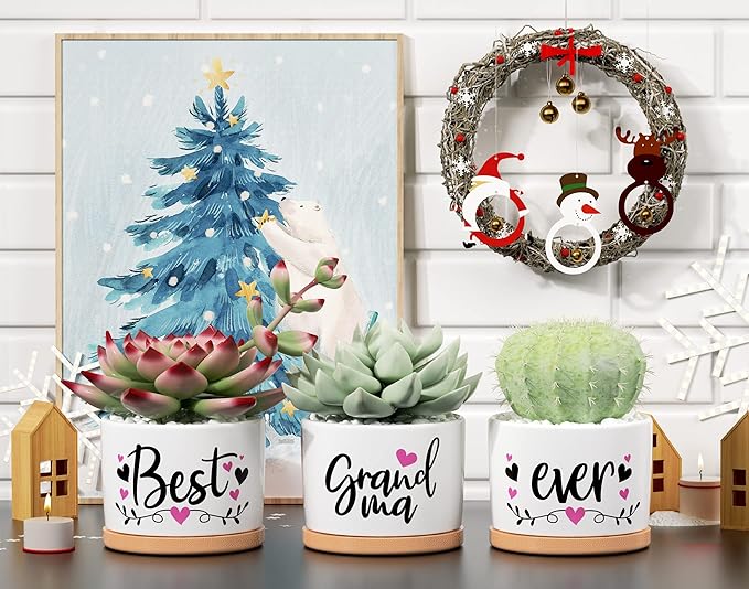 Christmas Grandma Gifts Best Gifts for Grandma from Grandchildren Granddaughter, Best Grandma Ever Succulent Pots for Plants Indoor Ceramic Planter, Gift Boxed Cute Grandma Birthday Thanksgiving Gifts