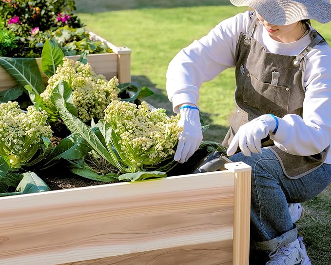 AMERLIFE 12x12x2 FT Wooden Raised Garden Bed, H-Shaped Planter Box with Double-Layer Design, 180 Cu. Ft Capacity for Outdoor Patio & Backyard
