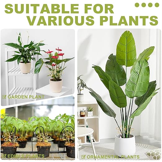 Plant Stem Supports for Indoor Plants, 4 Pack Iron Monstera Plant Support, Gold