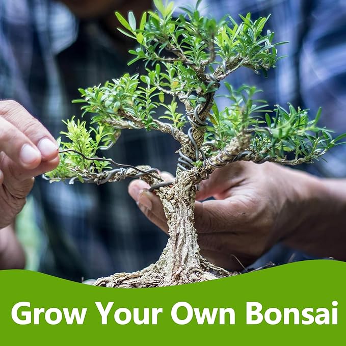 Bonsai Starter Kit with Seeds, Tools & Planters, Live Plants Indoor, Gardening Gifts for Women Men Mom Father Plant Lover