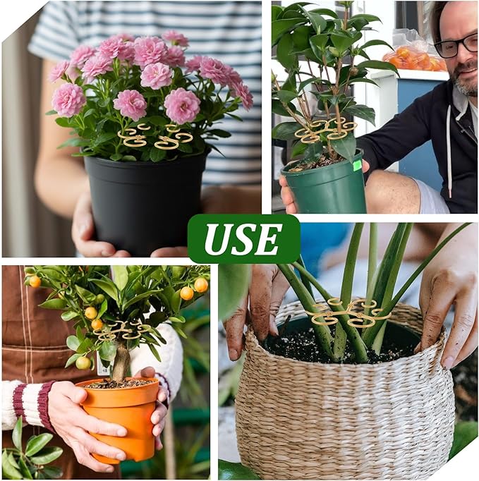 2PCS Plant Stem Support, Plant Stakes for Indoor Plants, Iron Monstera Turtle Shell Bamboo Clamp Set for Thriving Growth Accessores (Green, Gold)