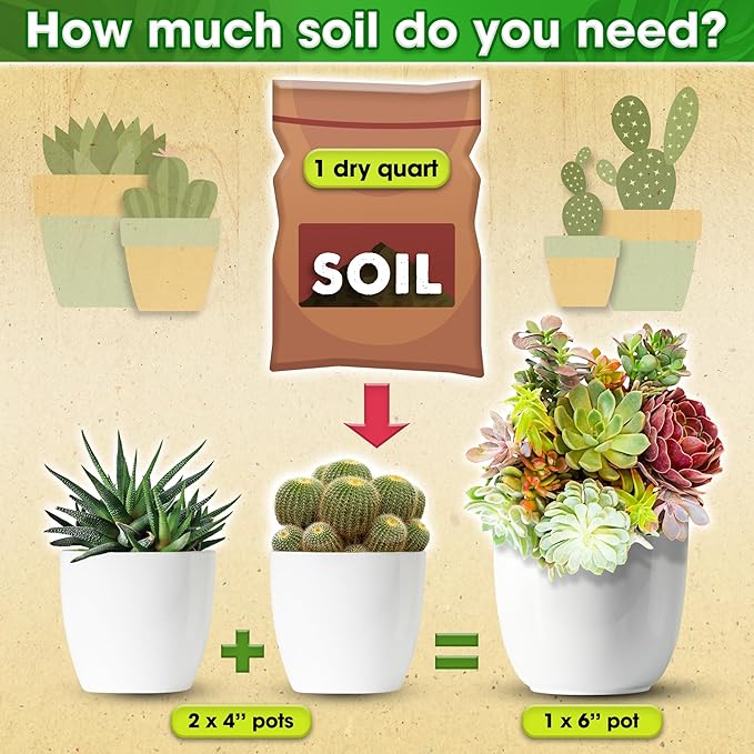 DUSPRO Succulents Soil Potting Mix β 7 in 1 Ingredients Well-Draining, Nutrient-Rich Cactus Potting Soil for Succulents and Cacti, Indoor & Outdoor Use, Ready to Use, Supports Healthy Root Growth, 8QT