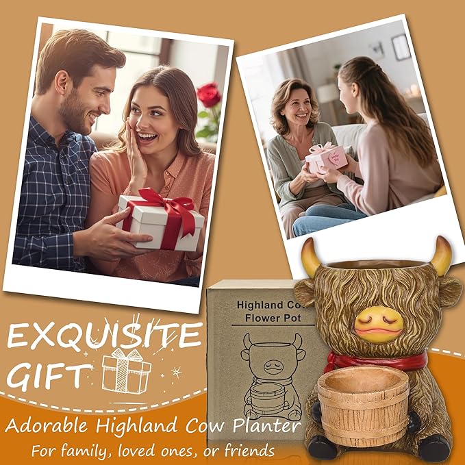Cute Plant Pots Decor - Highland Cow Planter with Two Planters Animal Flower Pots with Drainage,Mini Succulent Pot for Home Desk Patio Decorations Outdoor Indoor Plants Pot Gifts for Plant Lovers