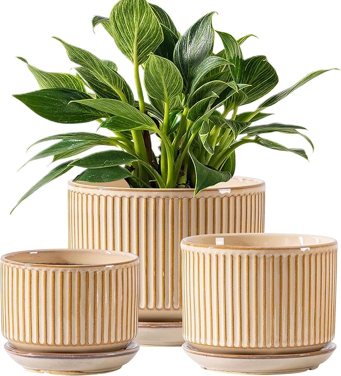 Beige Ceramic Planter Set of 3, Indoor Plant Pots with Drainage Hole, Saucer & Mesh Pads, Ceramic Striped Decorative Plant Pots for Indoor Plants, Garden Pots, Outdoor and Indoors Planters (Beige)