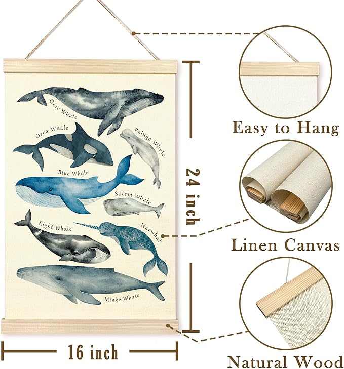 TAEDIN Whales Ocean Animal Chart Poster Hanger Frame, Whales Nautical Wall decor Educational Wooden Canvas Print, Sea Life Beach Wall Decor Painting for Classroom Nursery Bedroom Teen Room 16X24