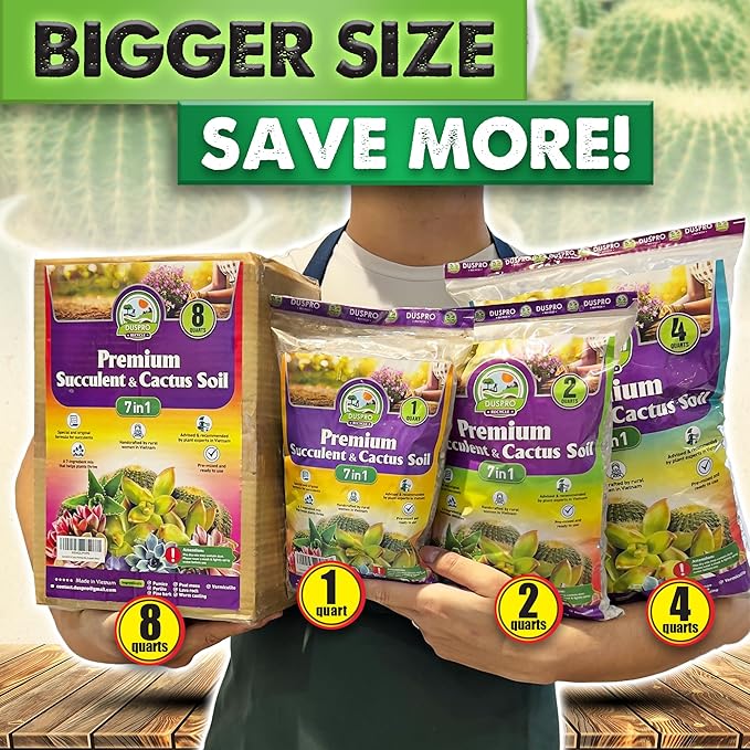 DUSPRO Succulents Soil Potting Mix β 7 in 1 Ingredients Well-Draining, Nutrient-Rich Cactus Potting Soil for Succulents and Cacti, Indoor & Outdoor Use, Ready to Use, Supports Healthy Root Growth, 1QT