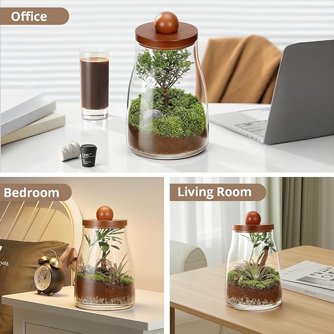Desktop Glass Plant Terrarium with Grow Light, Plants Propagation Station for Moss,Succulent,Miniature Gardening Landscape,Betta Fish Tank,Desktop Decorations for Home and Office, Plant Lovers Gift
